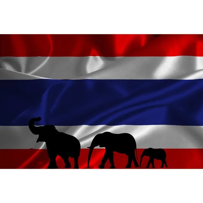Mengenal Black Ivory Coffee: Mengapa Kopi Gajah Thailand Ini Begitu Mahal?