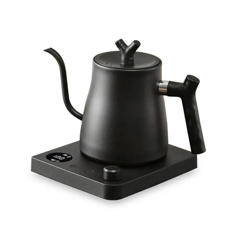 Electric Gooseneck Kettle with Temperature Control Display
