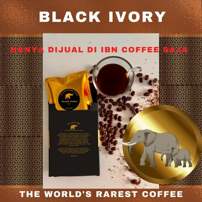 Beans Roasted Black Ivory Chiang Mai Thailand Coffee 