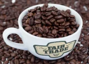 Kopi Fair Trade: Apa dan Mengapa Penting