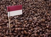 Sejarah Kopi di Indonesia: Dari Penemuan Hingga Menjadi Komoditas Utama